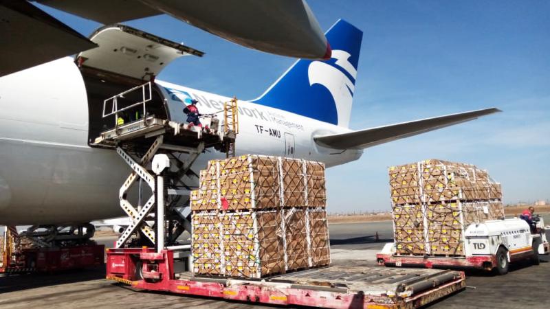 Network Airline Management