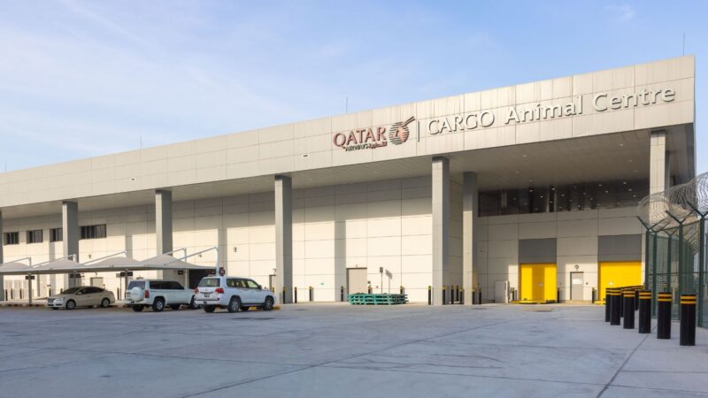Qatar Airways Cargo has opened its new state-of-the-art 5,260 sqm Animal Centre, featuring full temperature control for optimal animal comfort.
