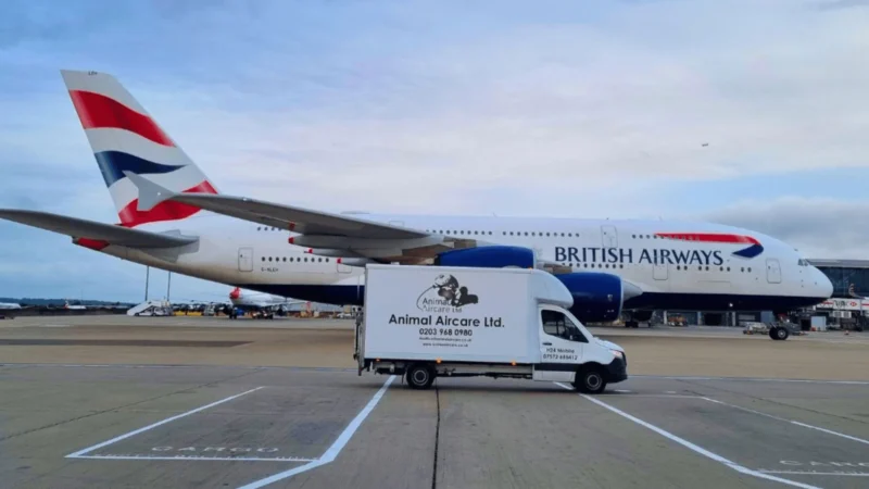 IAG Cargo, the cargo division of International Airlines Group (IAG), has appointed Animal Aircare as its new animal export partner at London Heathrow Airport.