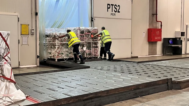 CACC Cargolinx operations, Cairo International Airport