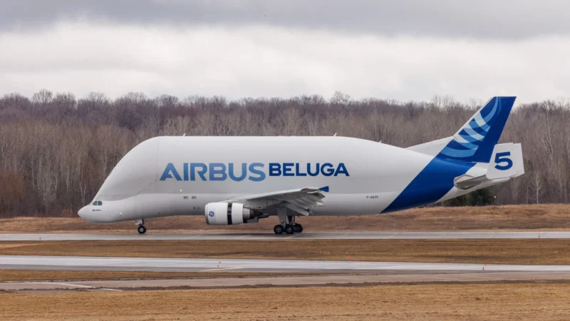 BelugaST
