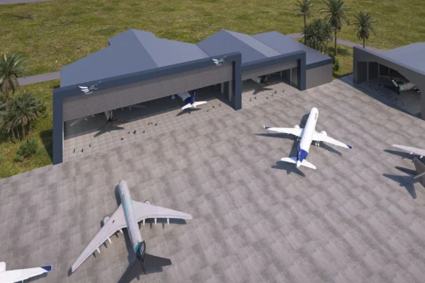 Bird Aviation