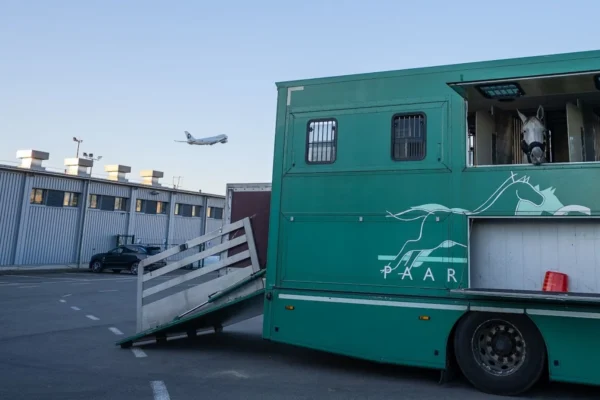 Challenge Group renews the IATA CEIV Live Animals Certification