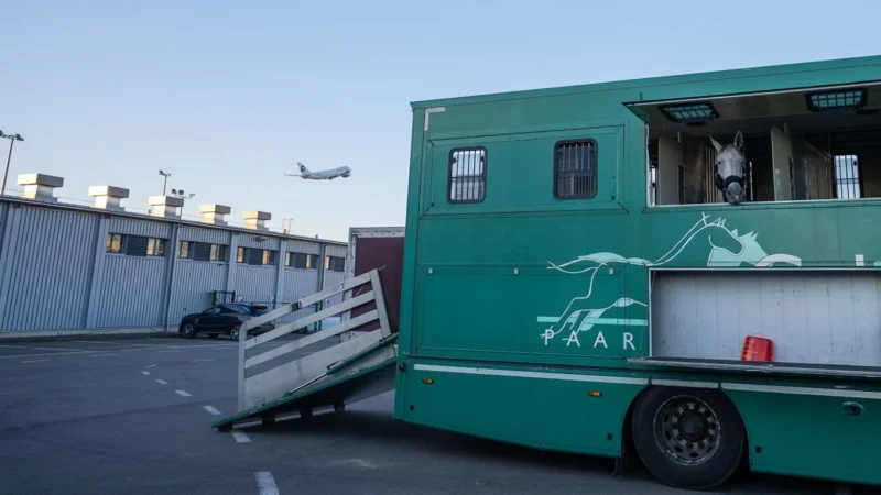 Challenge Group renews the IATA CEIV Live Animals Certification