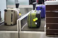 Check-in luggage (file photo)