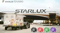 Credit: STARLUX Airlines/LinkedIn
