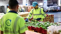 dnata has handled 227,530kg of flowers in just five days at its dedicated facility at the Dubai Flower Centre