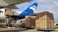 Network Airline Management’s TF-AMM aircraft unloading Valentine’s Day flowers in Liege, LGG