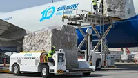 Credit: dnata