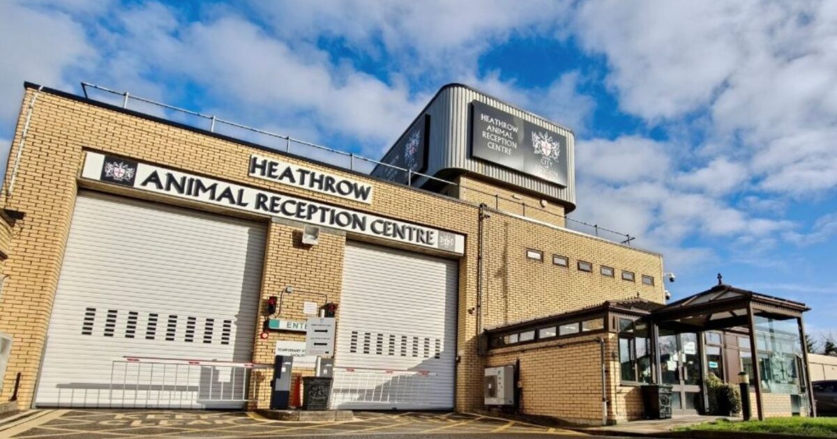 Heathrow animal centre earns IATA re-certification
